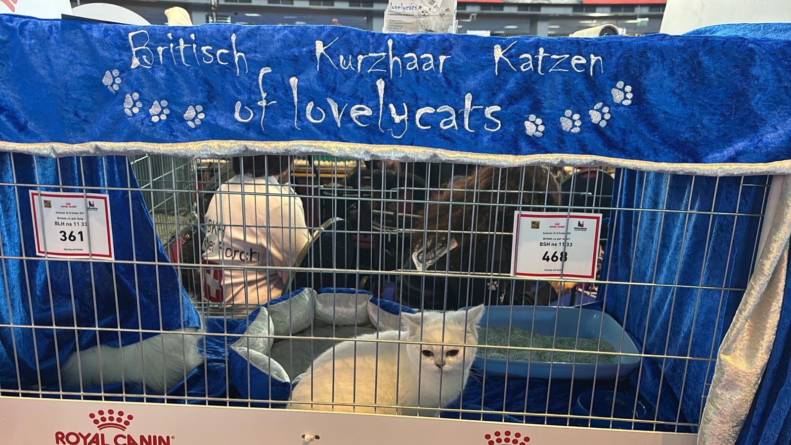 WhatsApp Image 2025-10-25 at 11.21.42