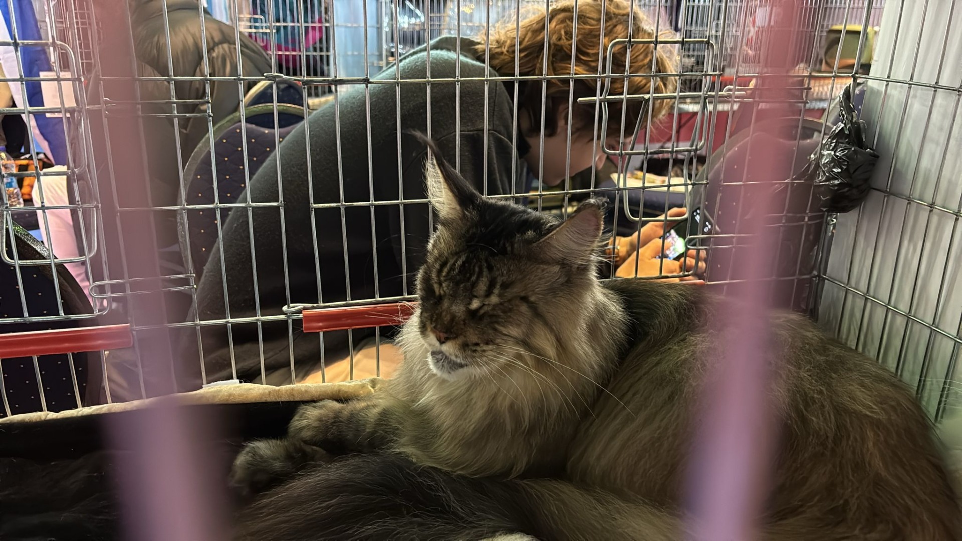 WhatsApp Image 2025-10-25 at 11.22.29