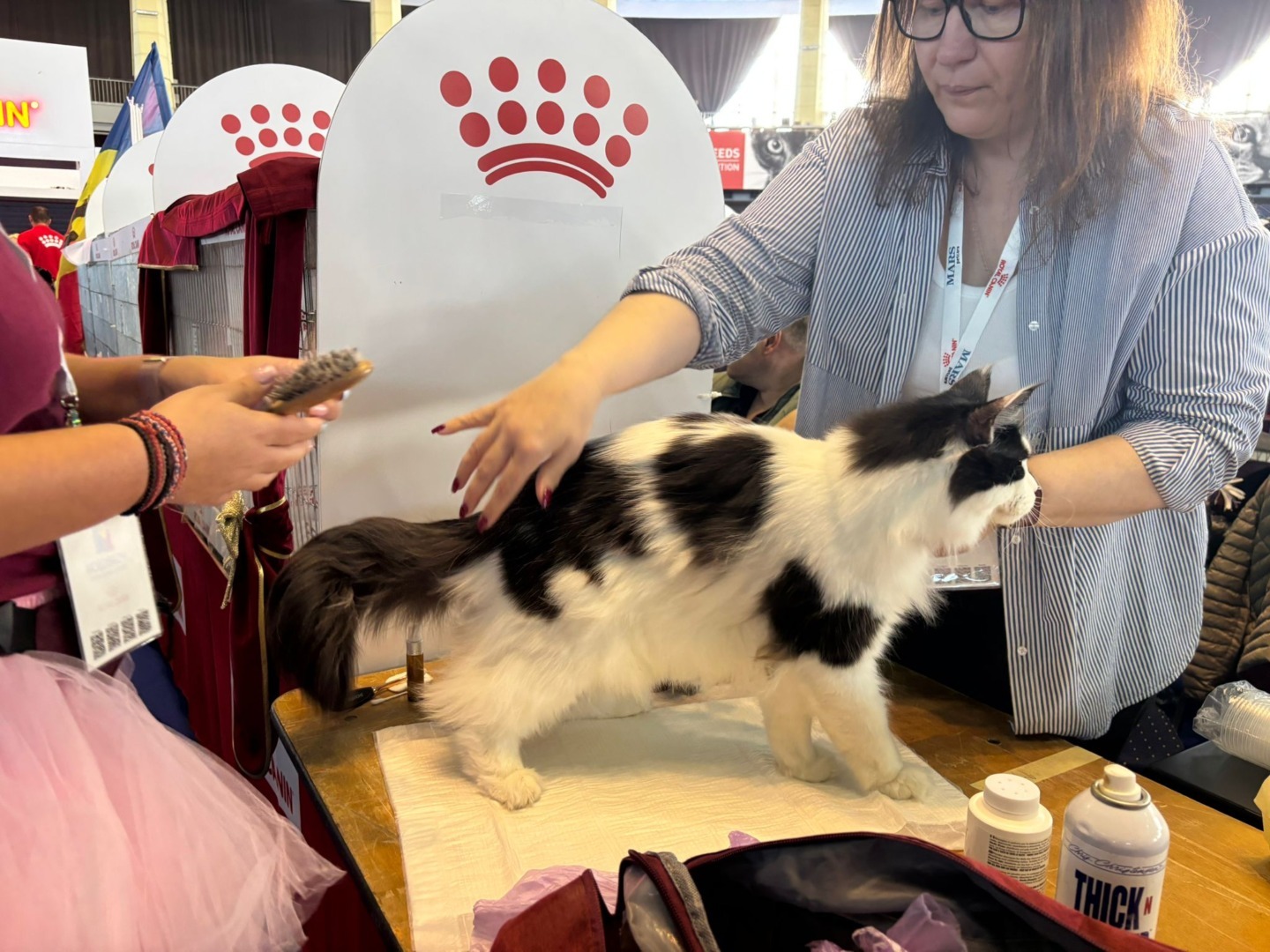 WhatsApp Image 2025-10-25 at 11.26.04