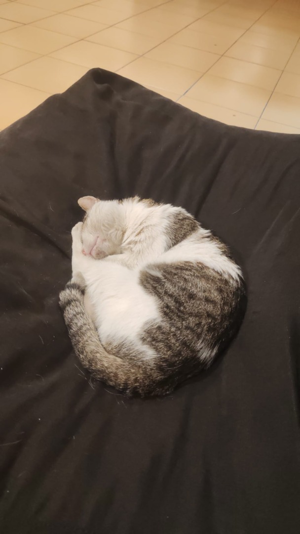 WhatsApp Image 2025-10-26 at 11.03.58