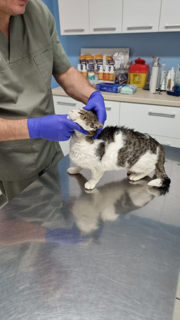 WhatsApp Image 2025-10-26 at 11.04.25