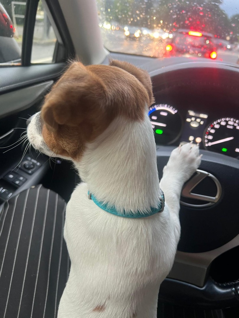 WhatsApp Image 2025-10-28 at 10.18.29 (6)