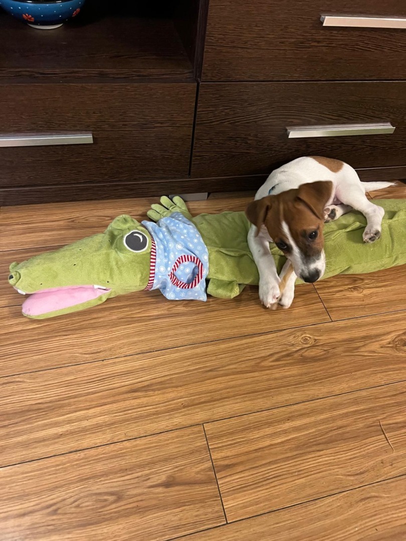 WhatsApp Image 2025-10-28 at 10.18.29 (8)