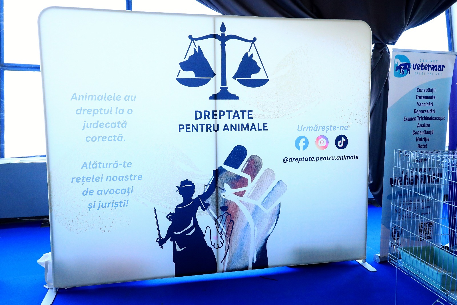 WhatsApp Image 2025-10-28 at 10.44.31