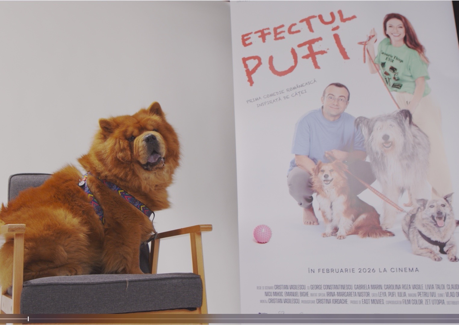 WhatsApp Image 2025-10-28 at 18.08.03 (1)