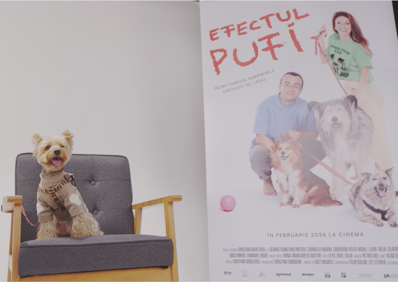 WhatsApp Image 2025-10-28 at 18.08.03 (10)