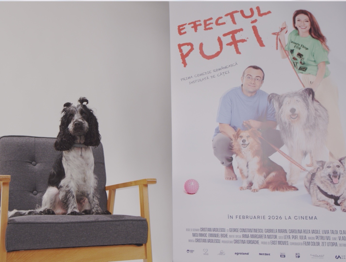 WhatsApp Image 2025-10-28 at 18.08.03 (11)