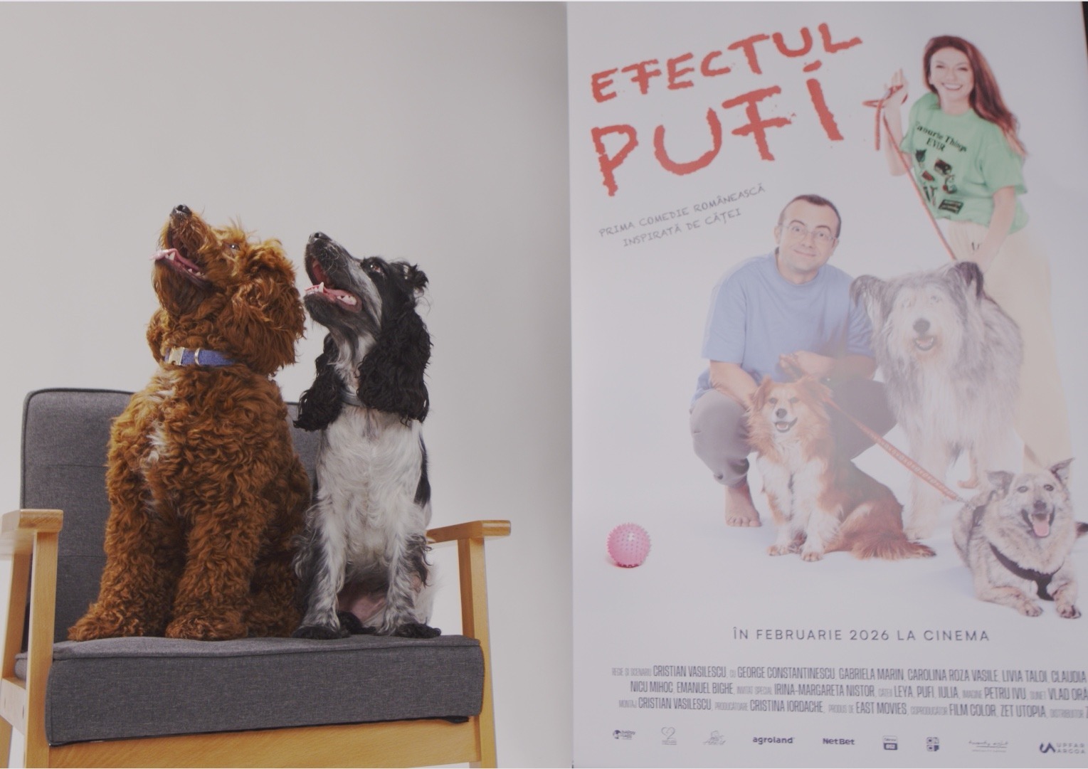 WhatsApp Image 2025-10-28 at 18.08.03 (12)