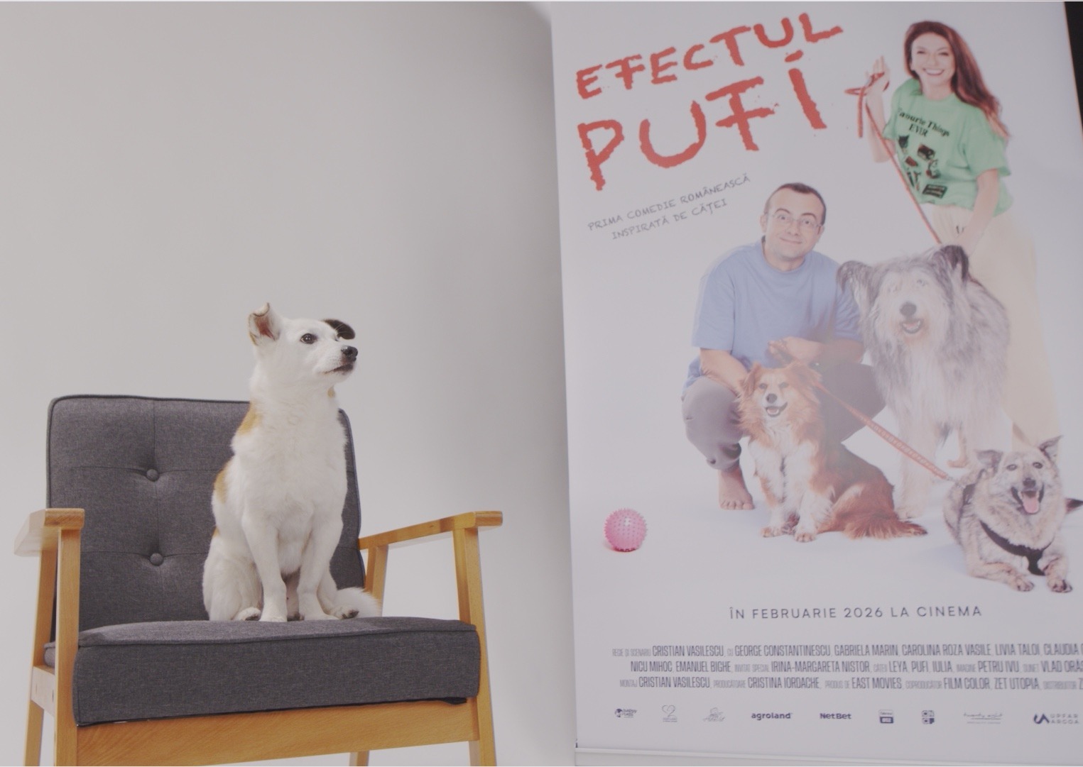 WhatsApp Image 2025-10-28 at 18.08.03 (13)