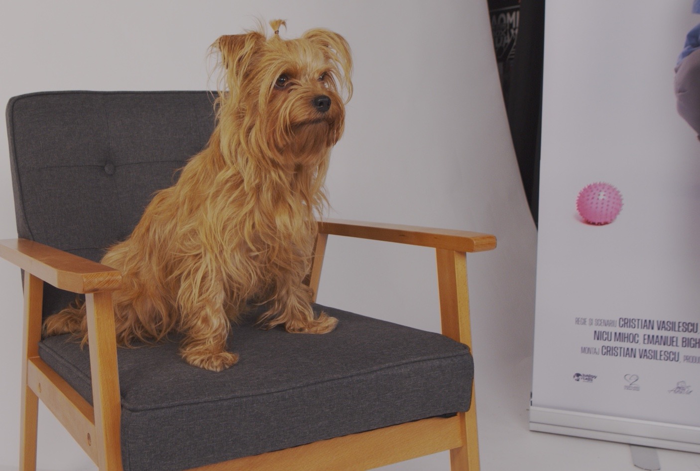 WhatsApp Image 2025-10-28 at 18.08.03 (14)