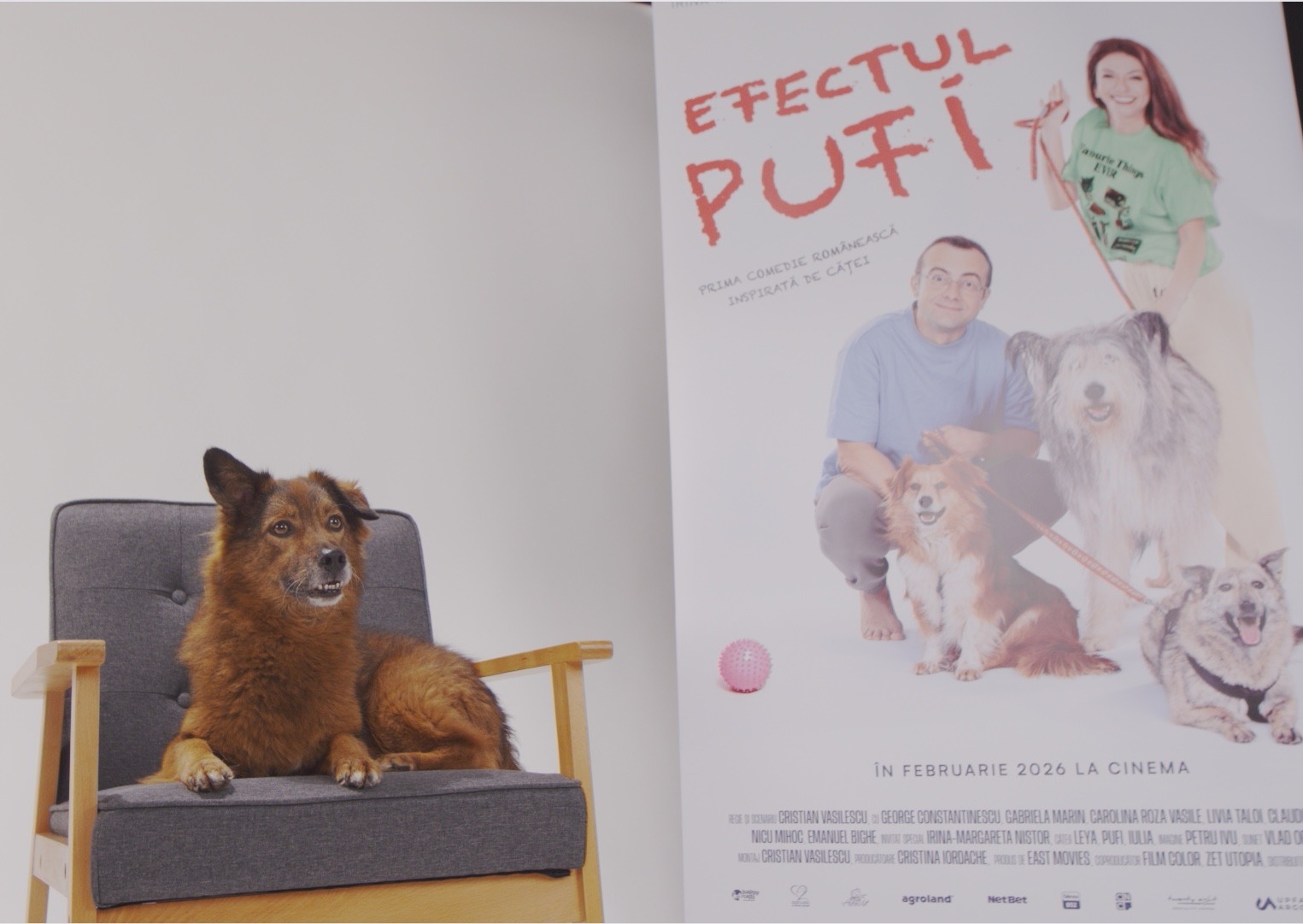 WhatsApp Image 2025-10-28 at 18.08.03 (15)