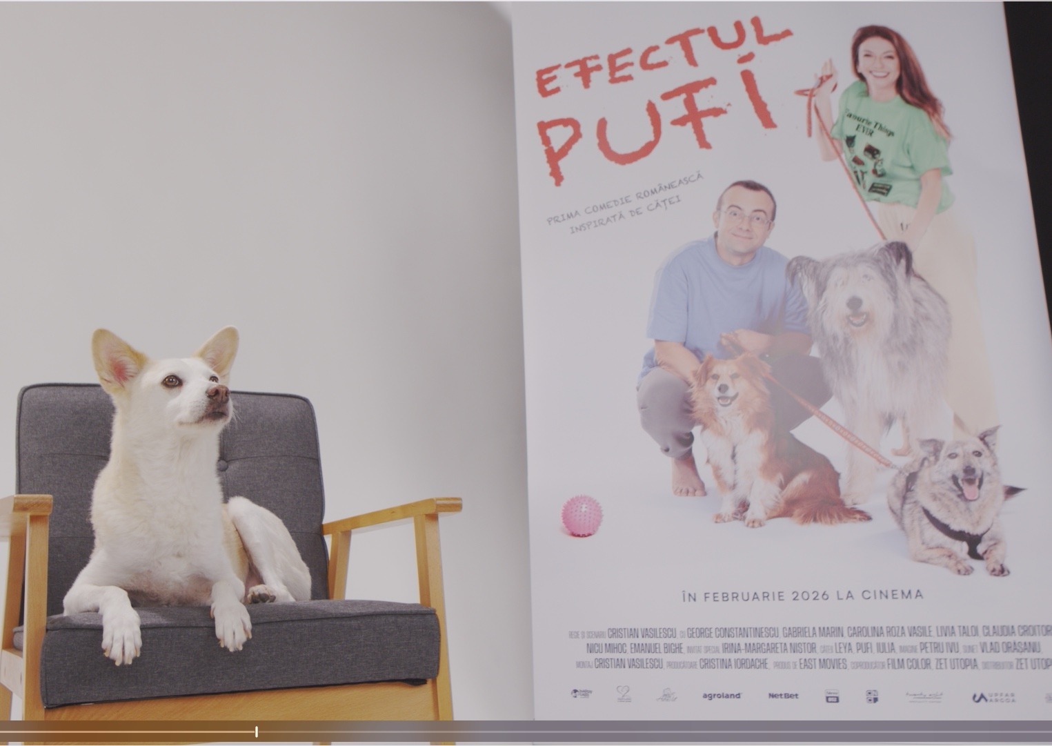 WhatsApp Image 2025-10-28 at 18.08.03 (16)