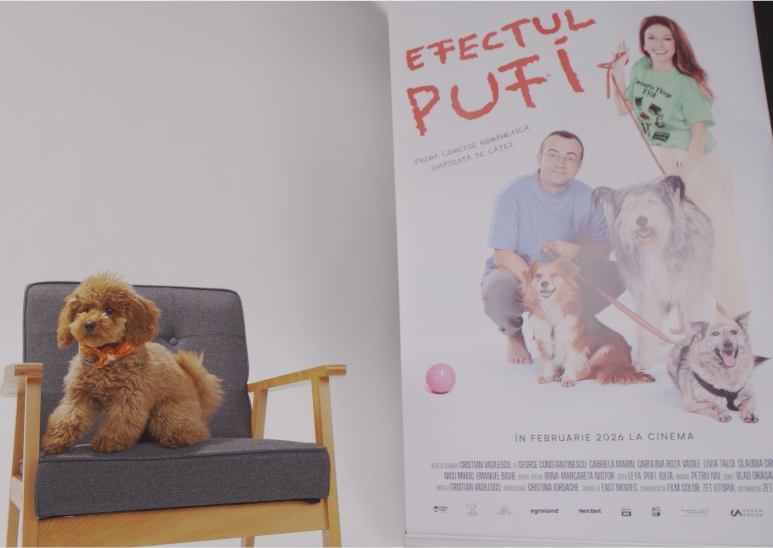 WhatsApp Image 2025-10-28 at 18.08.03 (2)