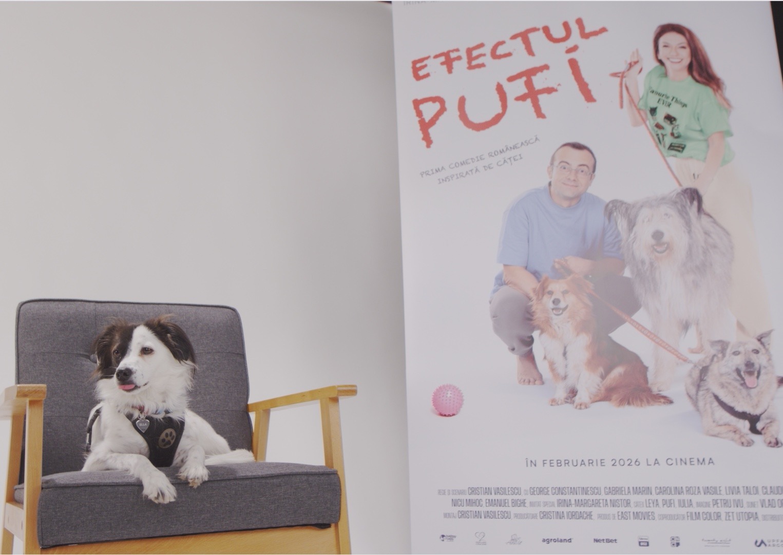 WhatsApp Image 2025-10-28 at 18.08.03 (4)