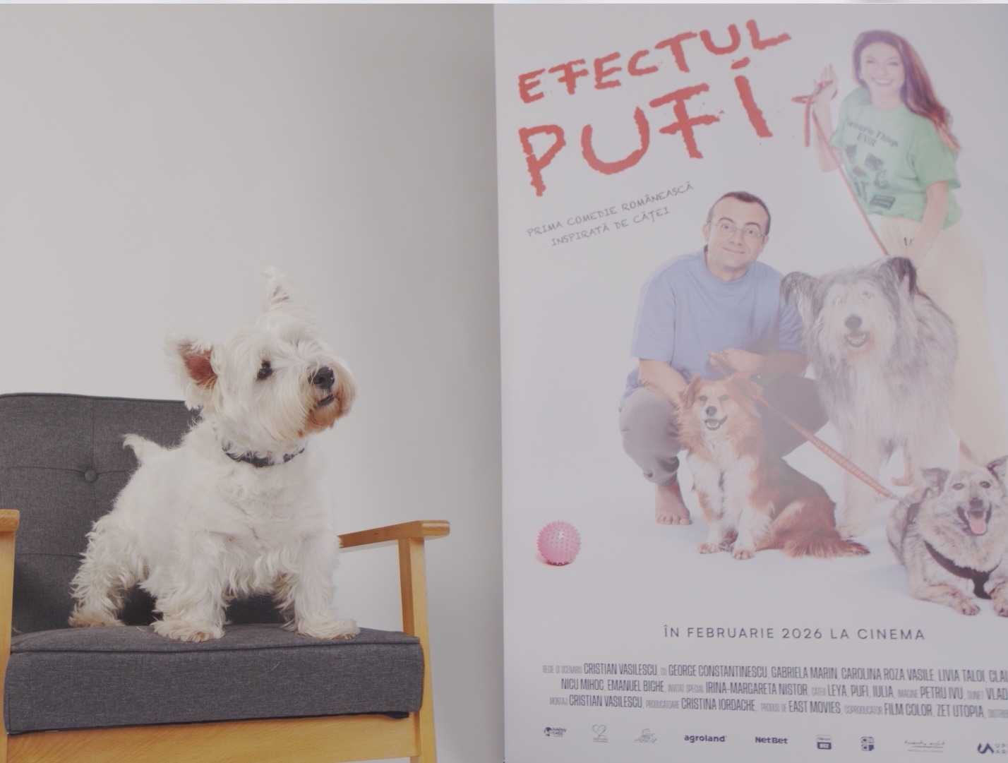 WhatsApp Image 2025-10-28 at 18.08.03 (6)