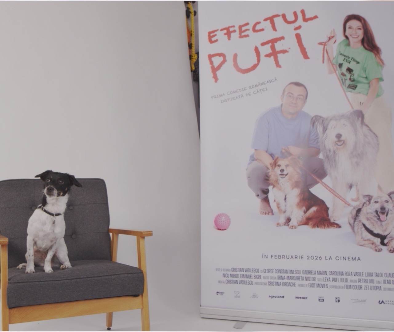 WhatsApp Image 2025-10-28 at 18.08.03 (7)