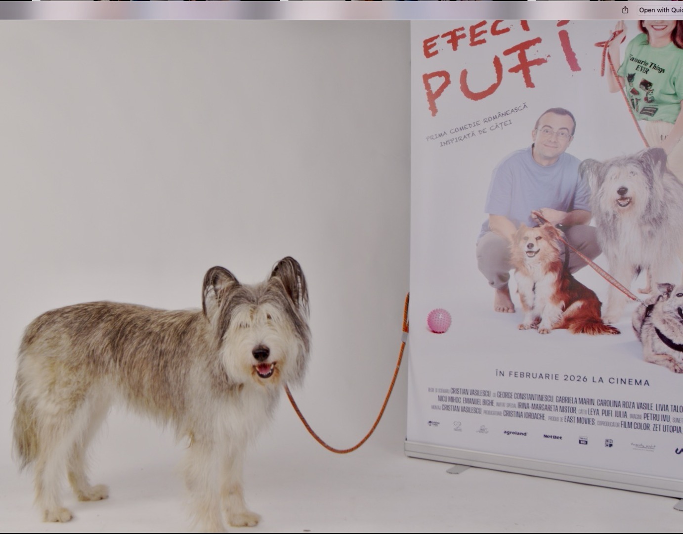 WhatsApp Image 2025-10-28 at 18.08.03 (8)