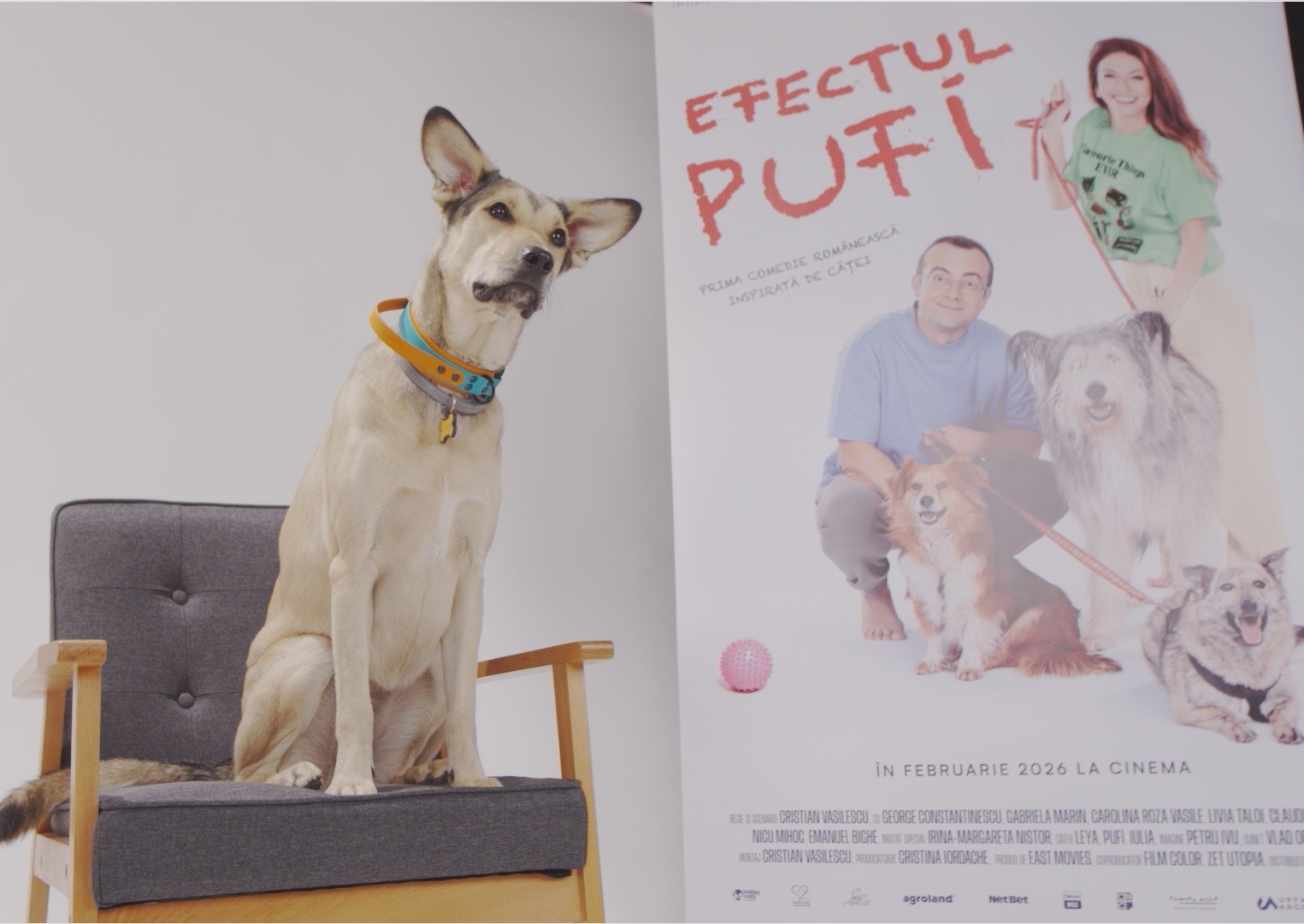 WhatsApp Image 2025-10-28 at 18.08.03 (9)