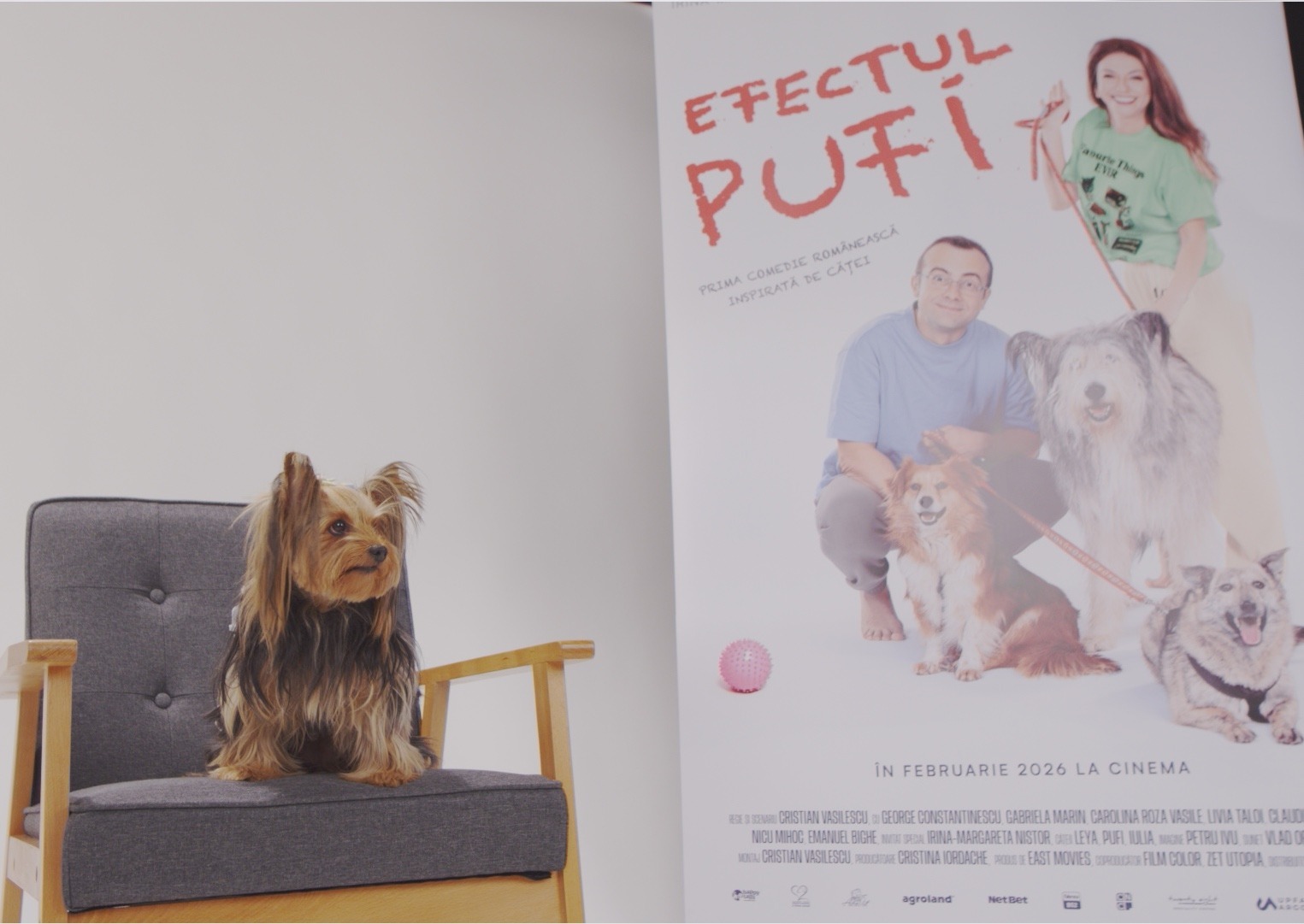 WhatsApp Image 2025-10-28 at 18.08.03