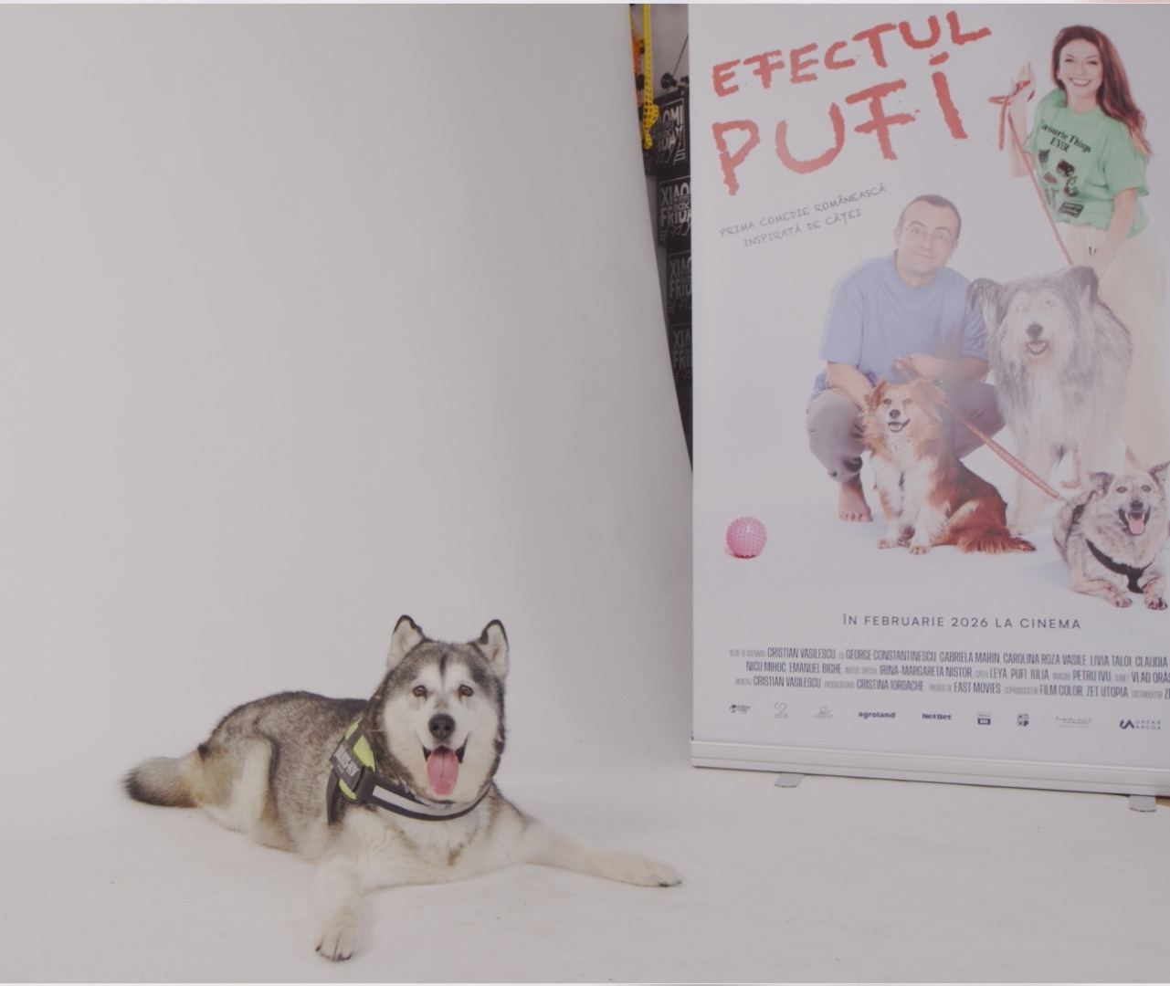 WhatsApp Image 2025-10-28 at 18.08.04 (1)