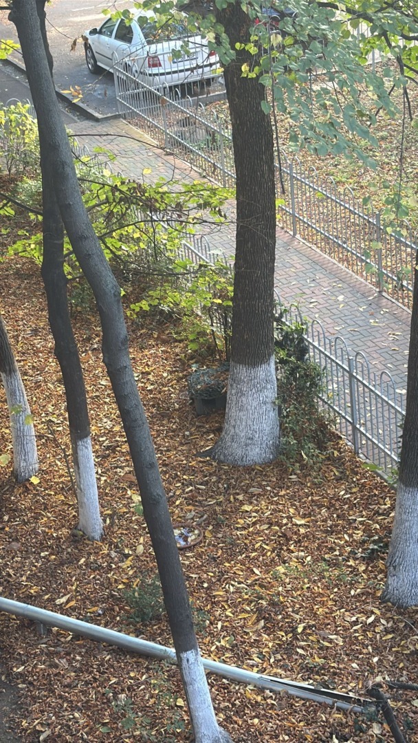 WhatsApp Image 2025-10-29 at 12.28.29 (1)