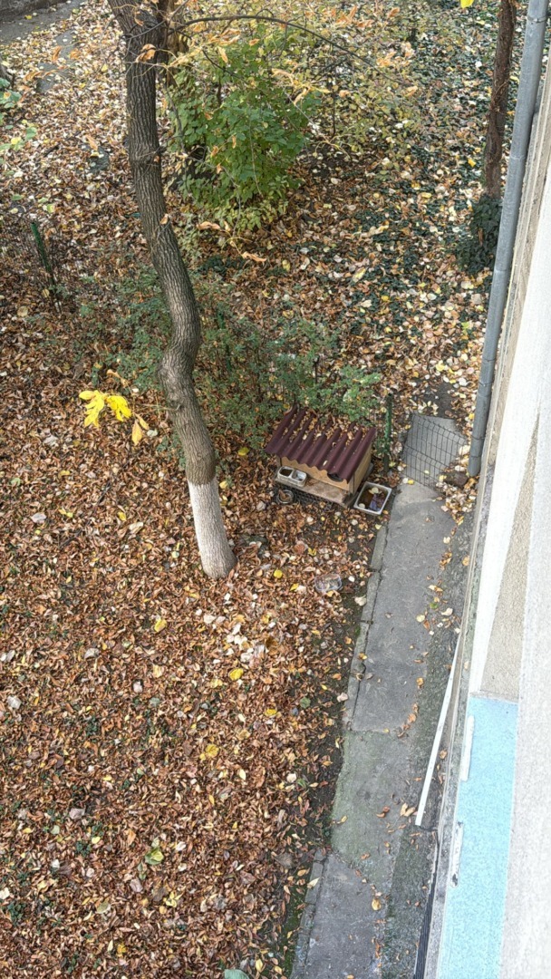 WhatsApp Image 2025-10-29 at 12.28.29