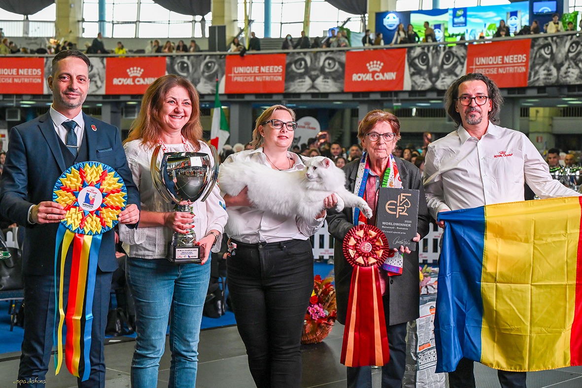 Wild Forests Nordri1