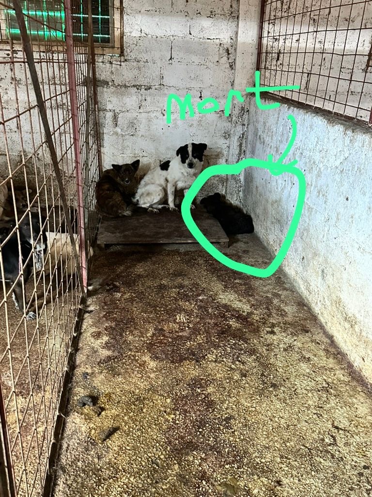 a0fe3757-cf08-429f-b020-1c875d0ddb83