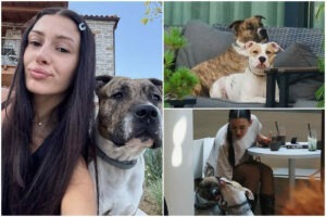 Colaj cu Alina Eremia și cățeii ei