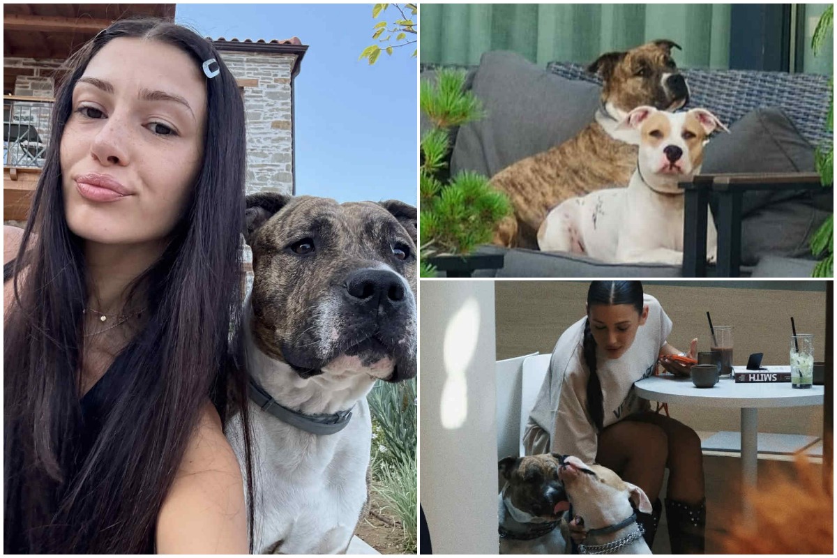 Colaj cu Alina Eremia și cățeii ei