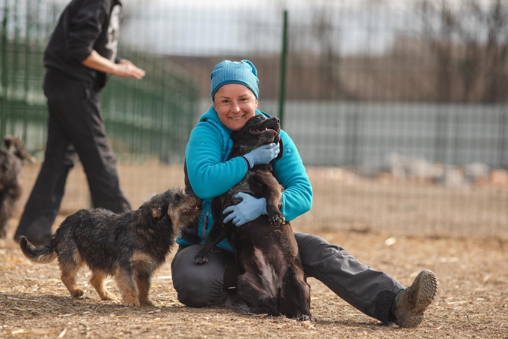 Ana Maria Nemeș, fondator Sirius Animal Rescu, alături de câini