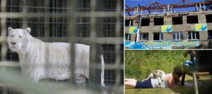 animale gradina zoologica harkov