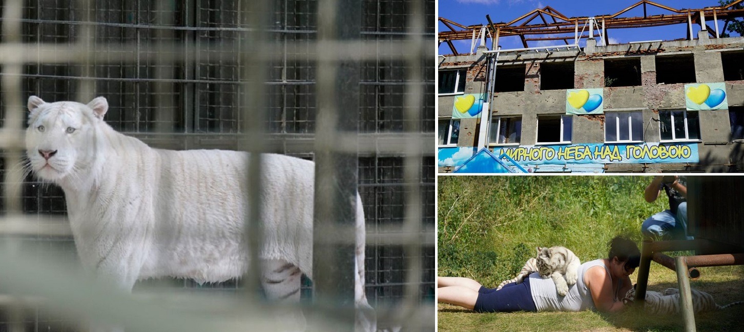 animale gradina zoologica harkov