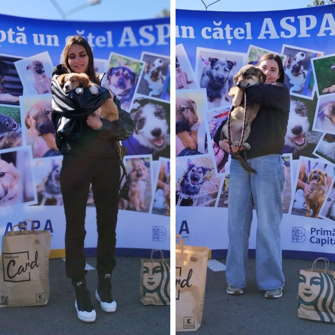 aspa-adoptii