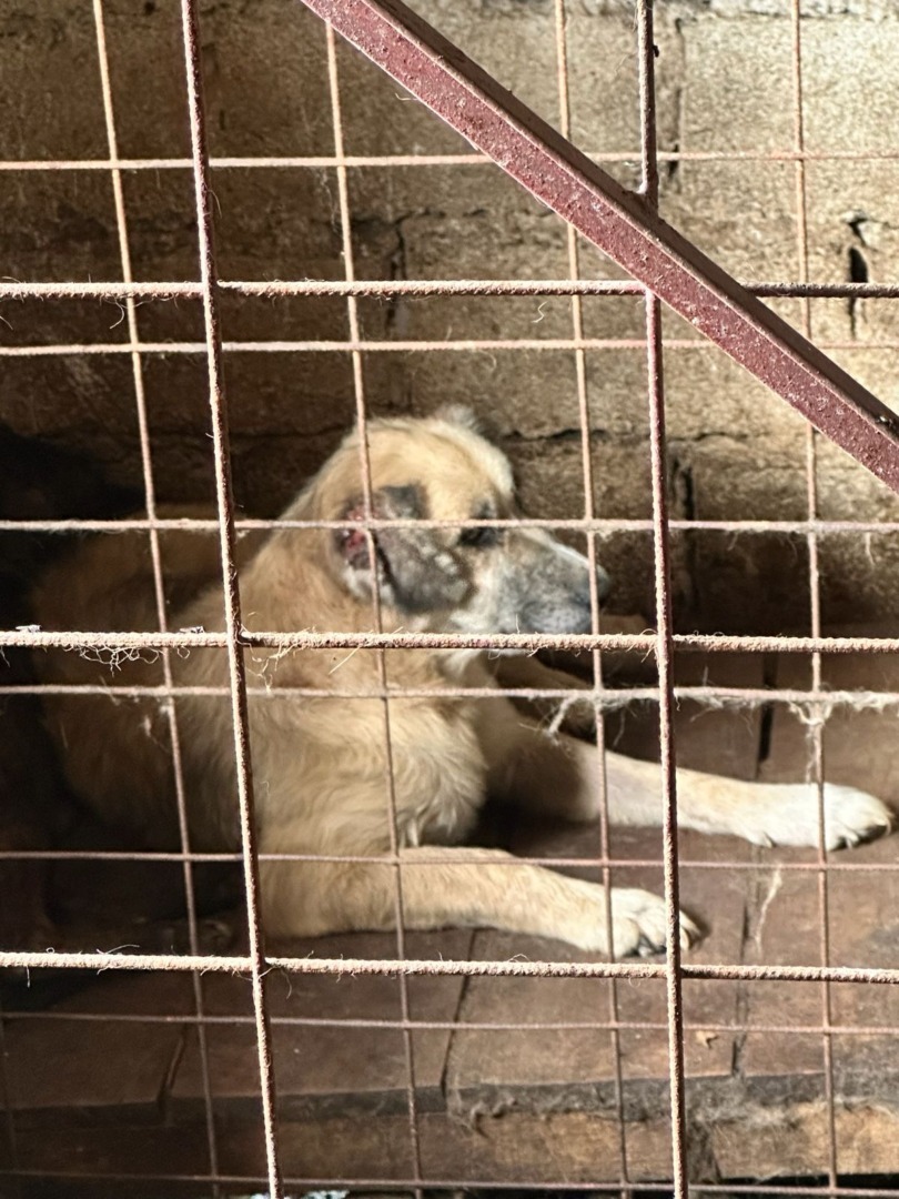 b0af5366-ab27-4318-b647-c8b3fae313f6