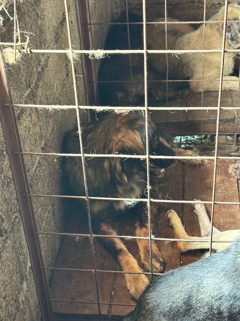 bbc78516-66b7-435e-bafd-42ff2bc3faef