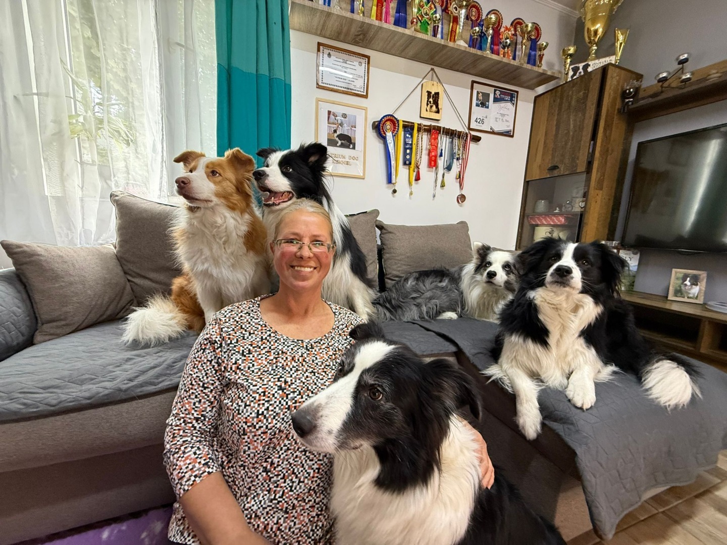 Câini Border Collie alături de stăpâna lor