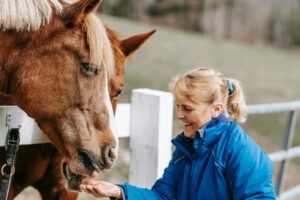 O femeie hrănindu-și caii