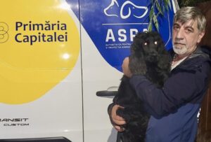 caine negru salvat de aspa