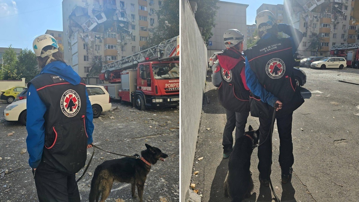 caini explozie Rahova