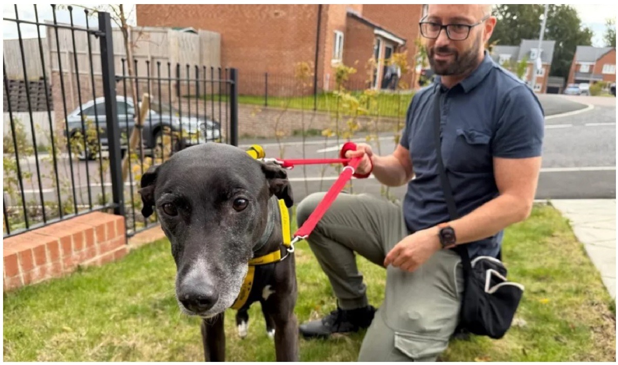 cainele Flash si noul sau stapan / FOTO BBC