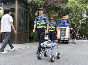 caine-robot patruleaza strazile