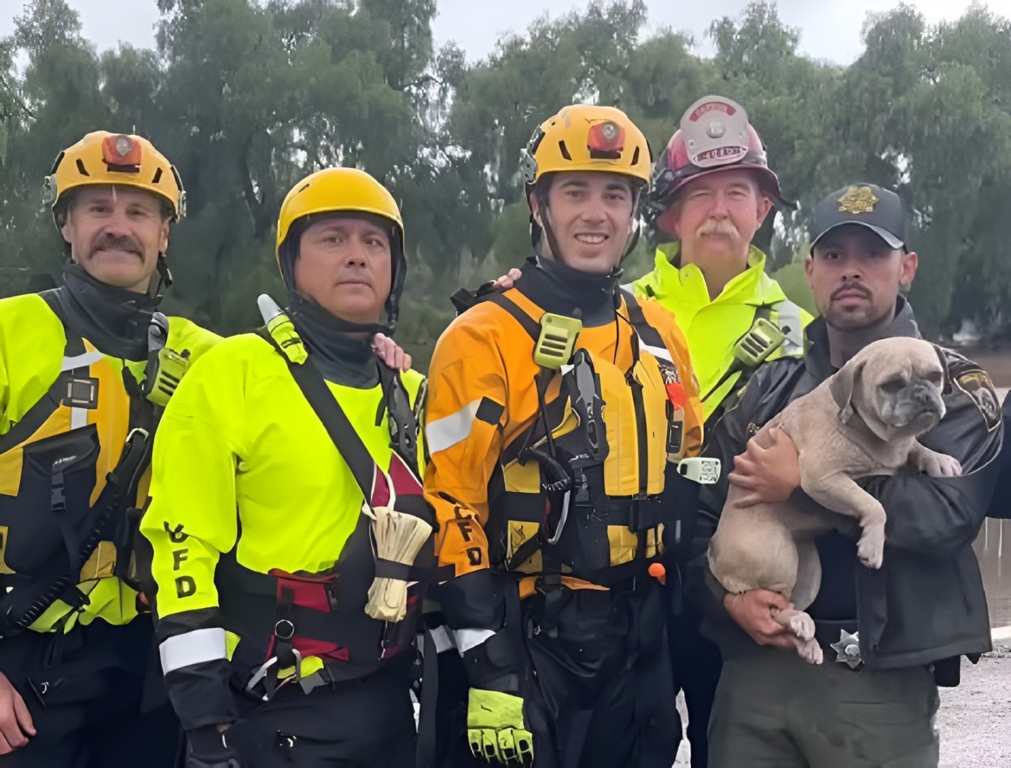 Pompierii californieni salvează un câine