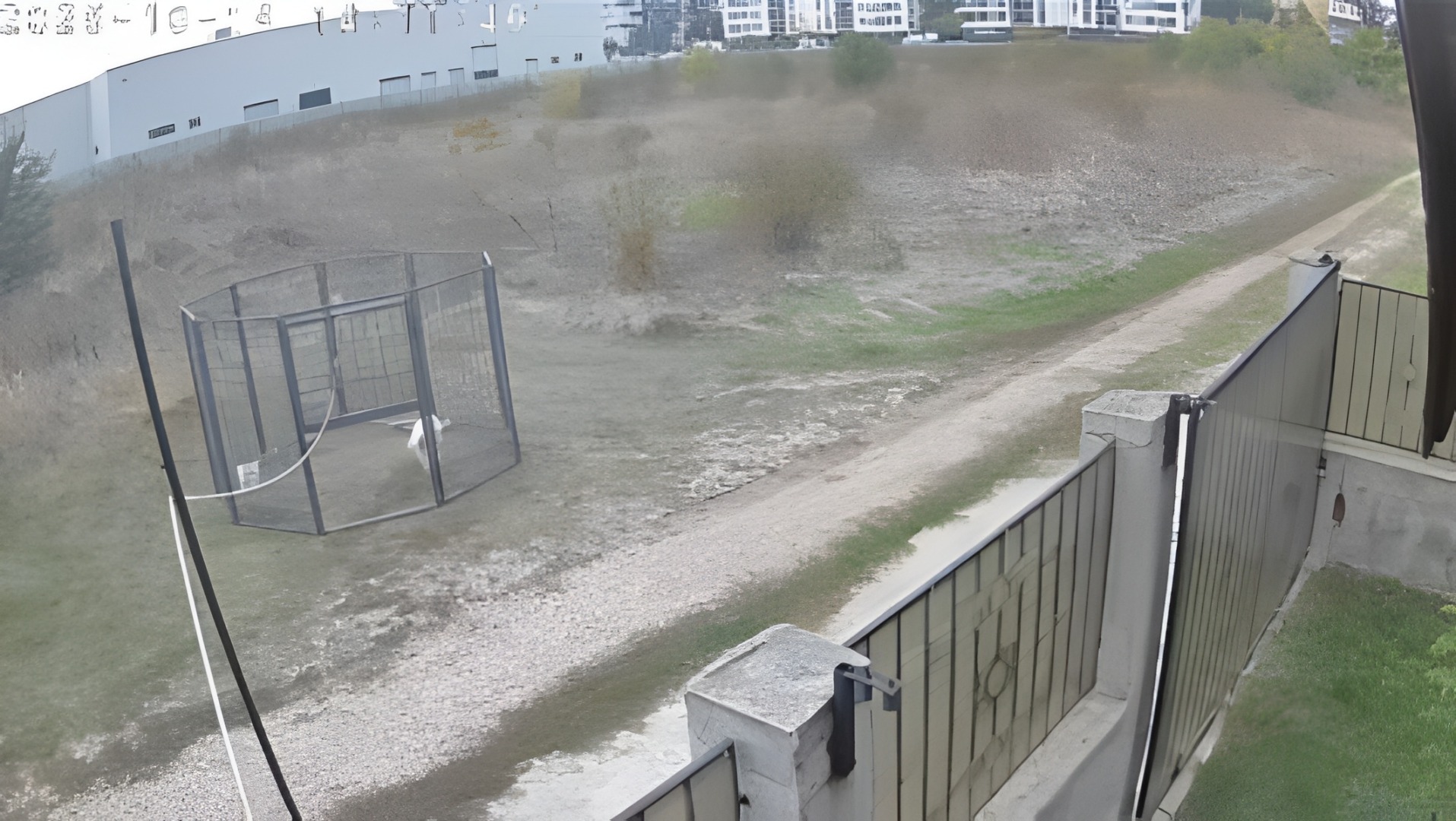 Câine capturat în țarc