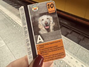 Cartelă de metrou pe care se află imprimat chipul unui câine