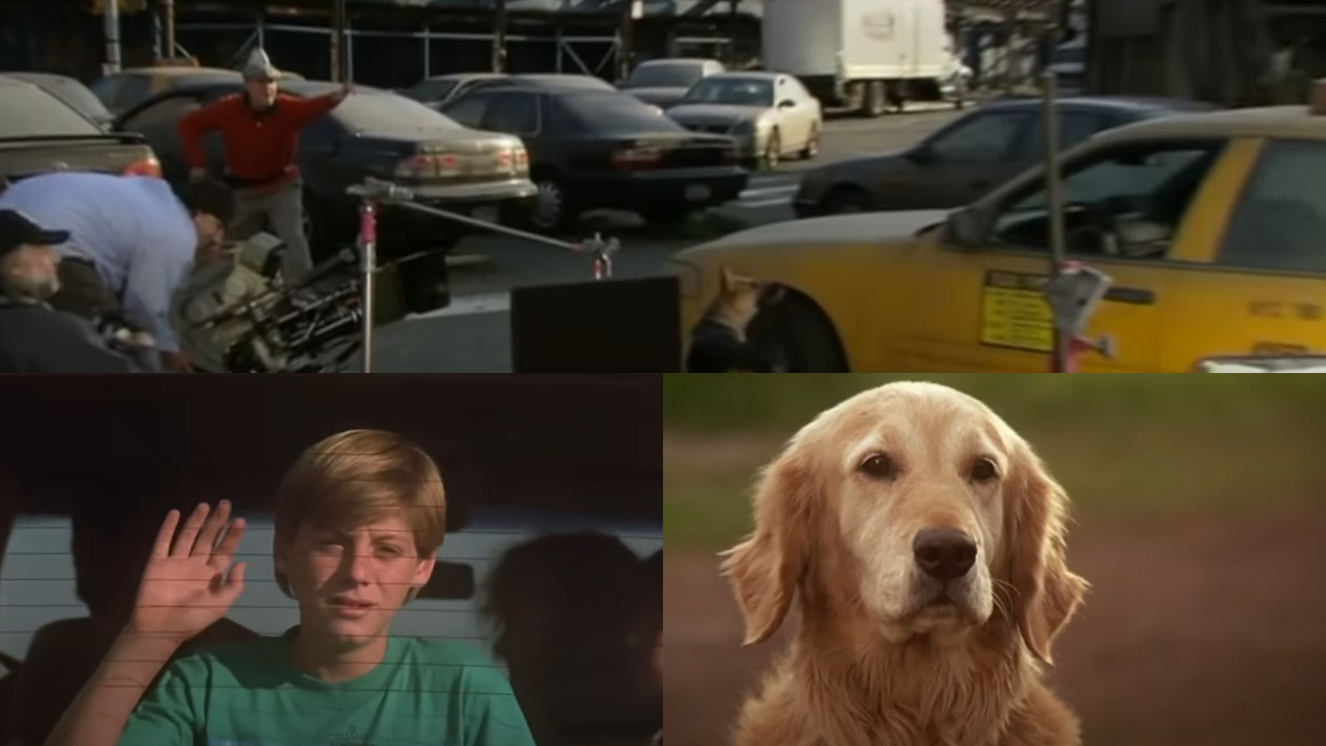 Colaj foto cu căței și dresori de câini în filme.