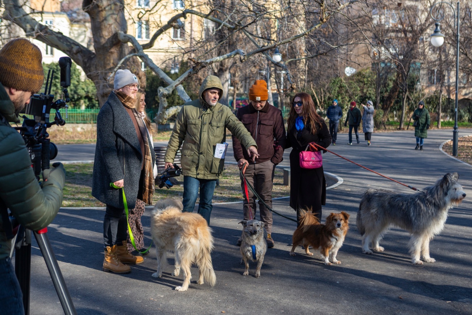 Căței și stăpâni în parc, la o filmare