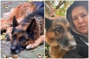 Colaj cu Tango și MArcela Motoc