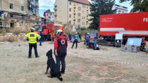 Clubul Cainilor Utilitari la simulari de salvare