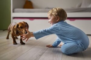 cainele si copilul se joaca